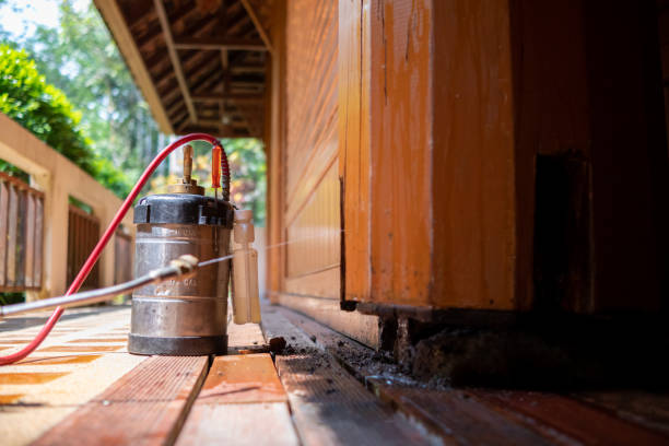 Best Ant Control Services  in Bethlehem, PA